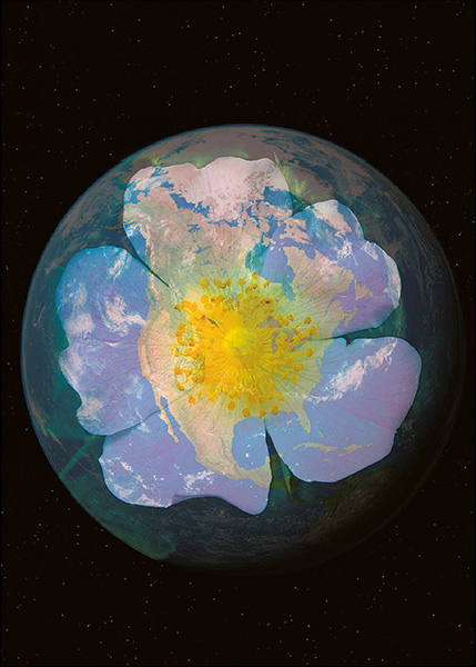 anima mundi • Théâtre National de Nice