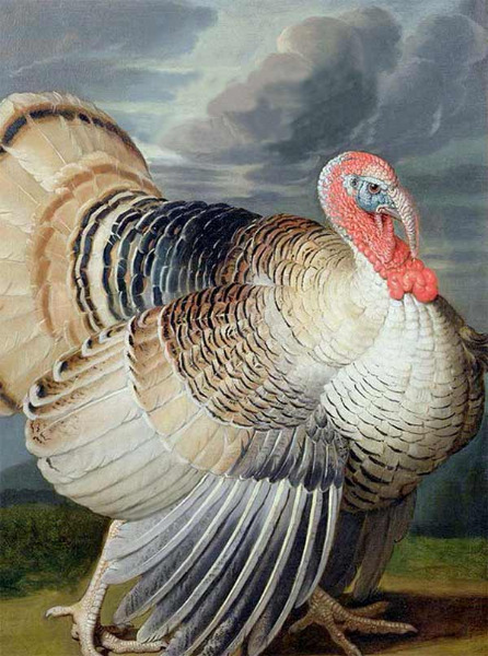 Moi, Malvolio au Th&eacute;&acirc;tre National de Nice