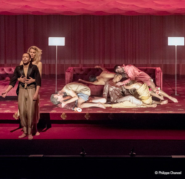 la dame aux camélias