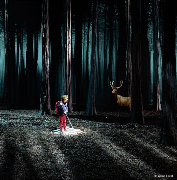 Le Bruit des loups