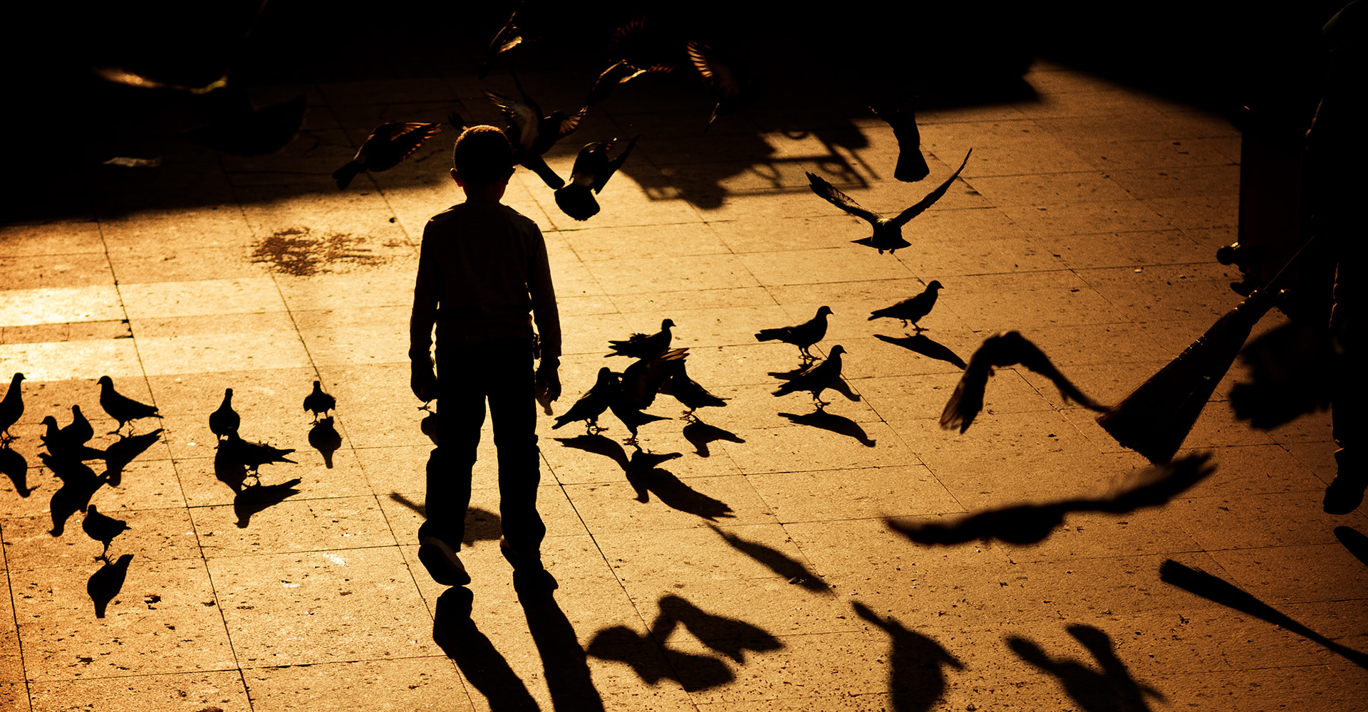 Le Petit Gar&ccedil;on avec une ombre d'oiseau