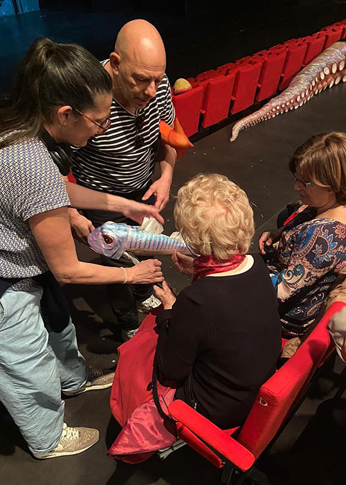 accueil des spectateurs en situation de handicap